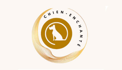 Chien enchante