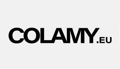 COLAMY