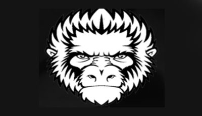 Holtzmans Gorilla Survival